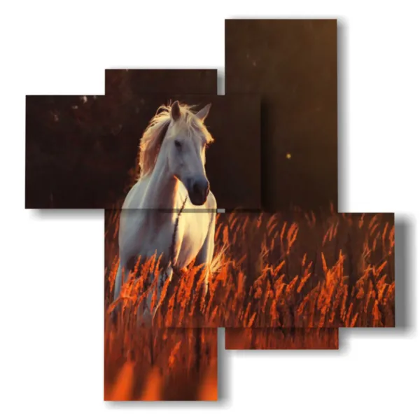 quadro cavalli