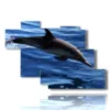 painting dolphin in the blue sea - version: 7 pannelli 150x102cm