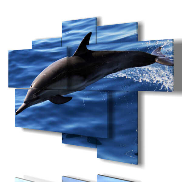 quadro Delfino nel mare blu