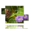cuadros mariposas y flores violetas - version: 5 pannelli 128x85cm