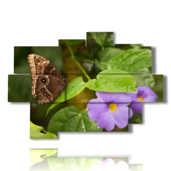 Schmetterlinge Vierecke