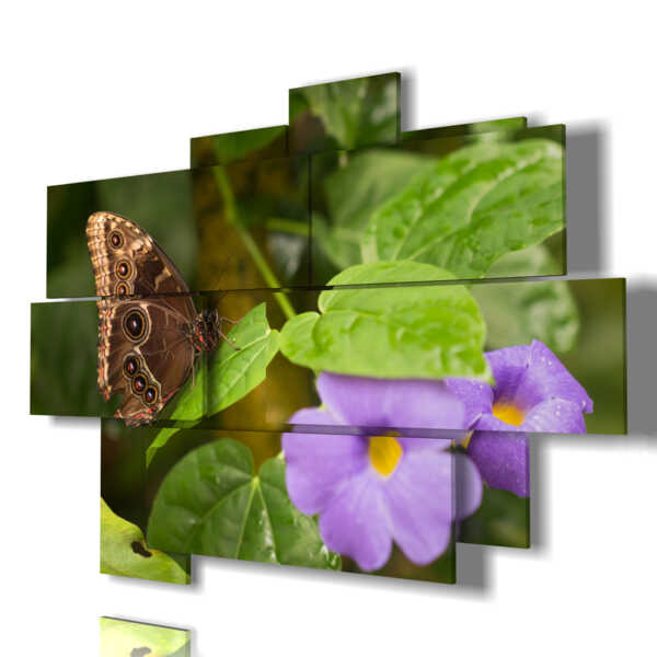 tableaux papillons et fleurs violettes